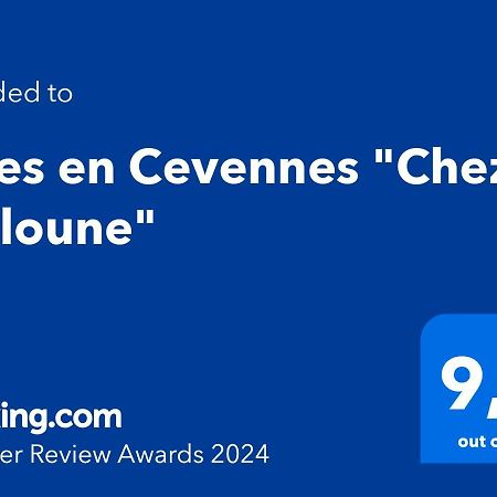 Gites En Cevennes "Chez Steloune" Genolhac 外观 照片