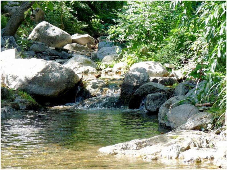 Gites En Cevennes "Chez Steloune" Genolhac 外观 照片