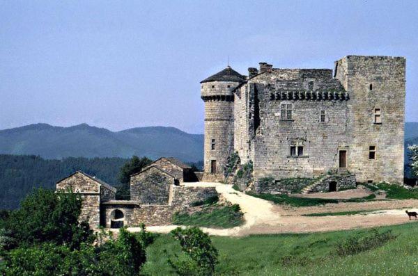 Gites En Cevennes "Chez Steloune" Genolhac 外观 照片
